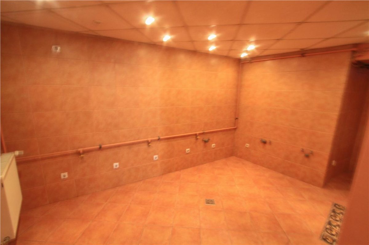 Vila cocheta pretabila rezidenta/office, Calea Dorobanti - foto 11