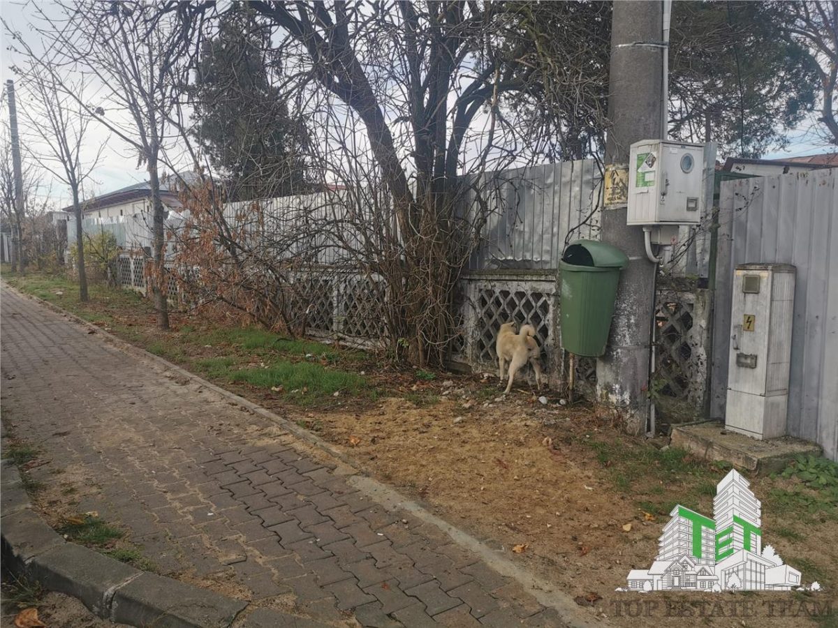 TEREN  CASE-VILA/Spatiu comercial 216mp+teren 870mp - foto 5