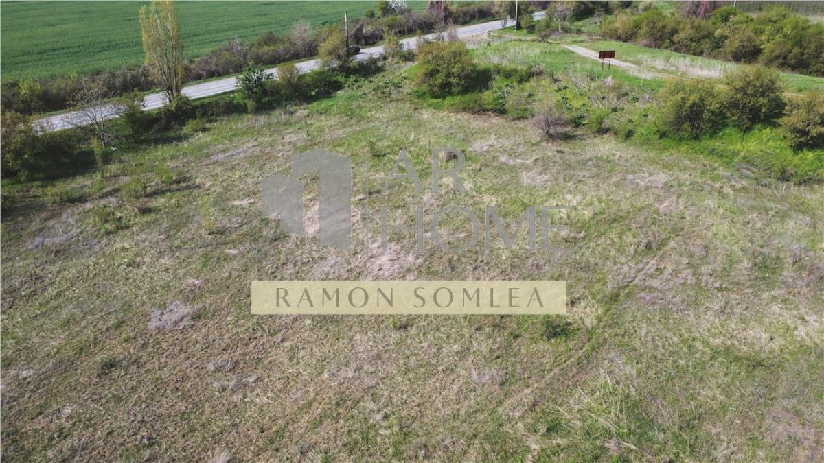 Teren intravilan industrial 16142 mp, Centura de Est, Ploiesti - foto 8