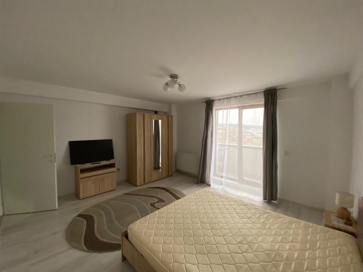 Ap. 1 camera Bucium-Visan- 299 Euro - Iasi