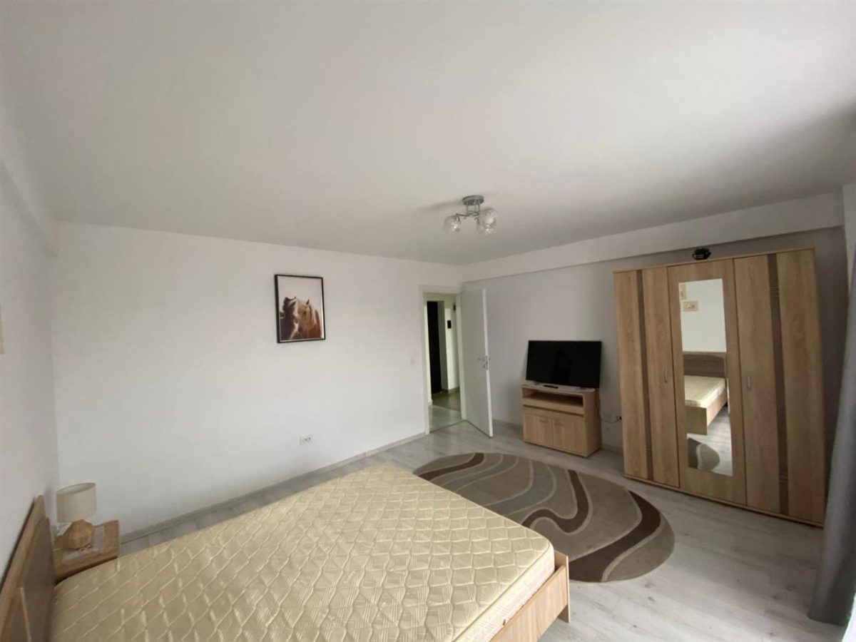 Ap. 1 camera Bucium-Visan- 299 Euro - foto 2