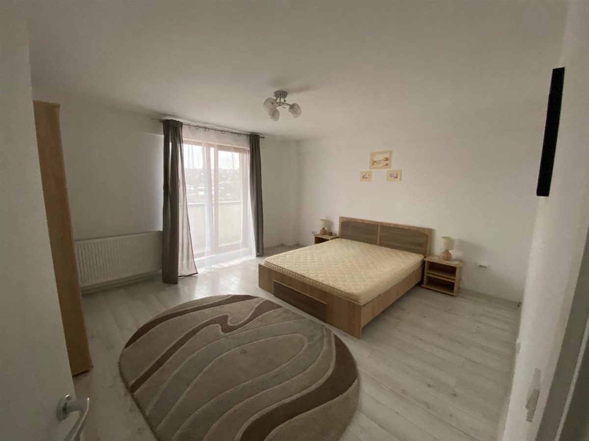 Ap. 1 camera Bucium-Visan- 299 Euro - foto 3