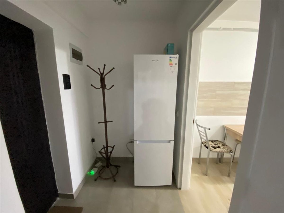 Ap. 1 camera Bucium-Visan- 299 Euro - foto 5