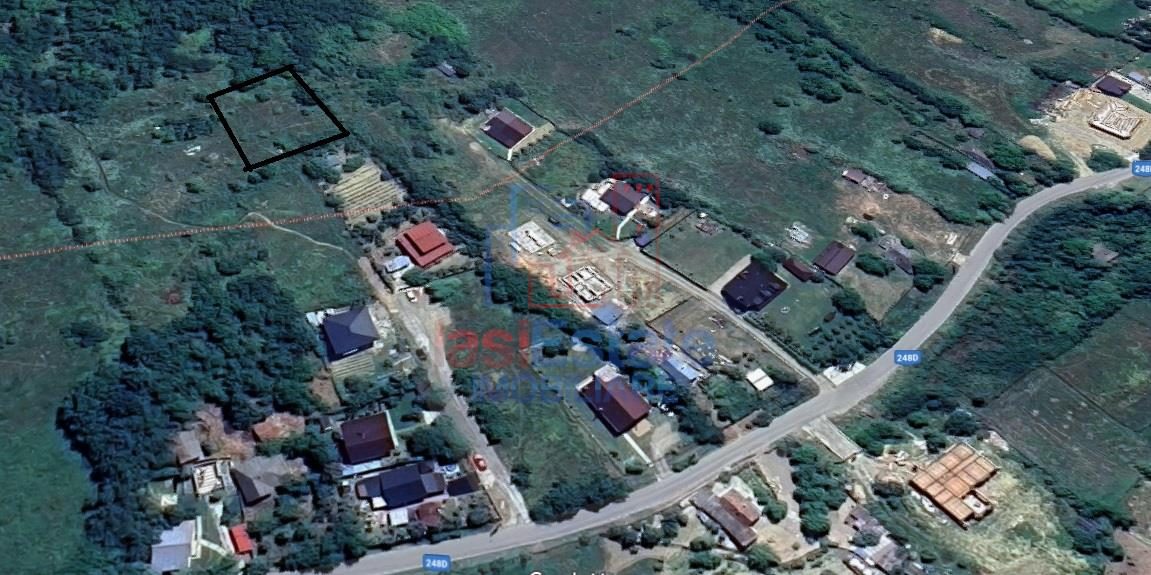 Barnova sat Cercu TEREN 1000mp Intravilan zona frumoasa, verde, utilitati in apropiere - Cercu