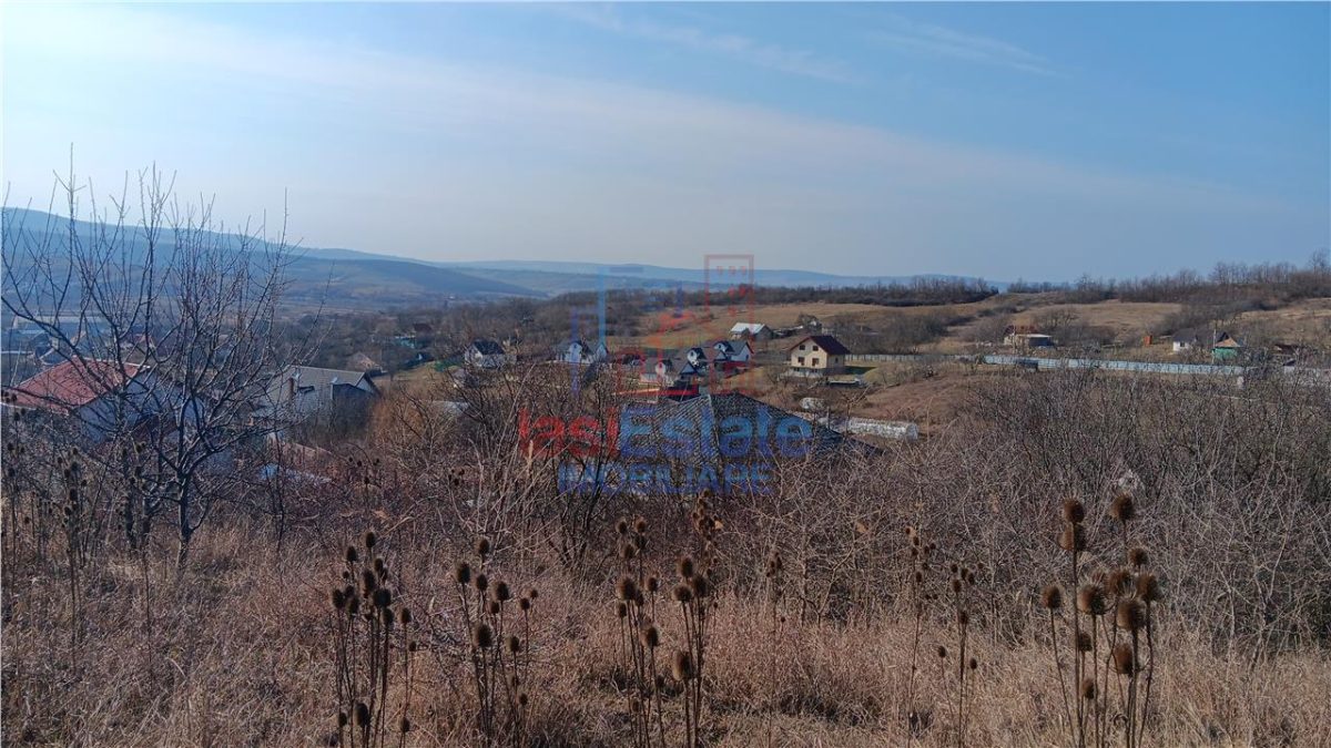 Barnova sat Cercu TEREN 1000mp Intravilan zona frumoasa, verde, utilitati in apropiere - foto 5