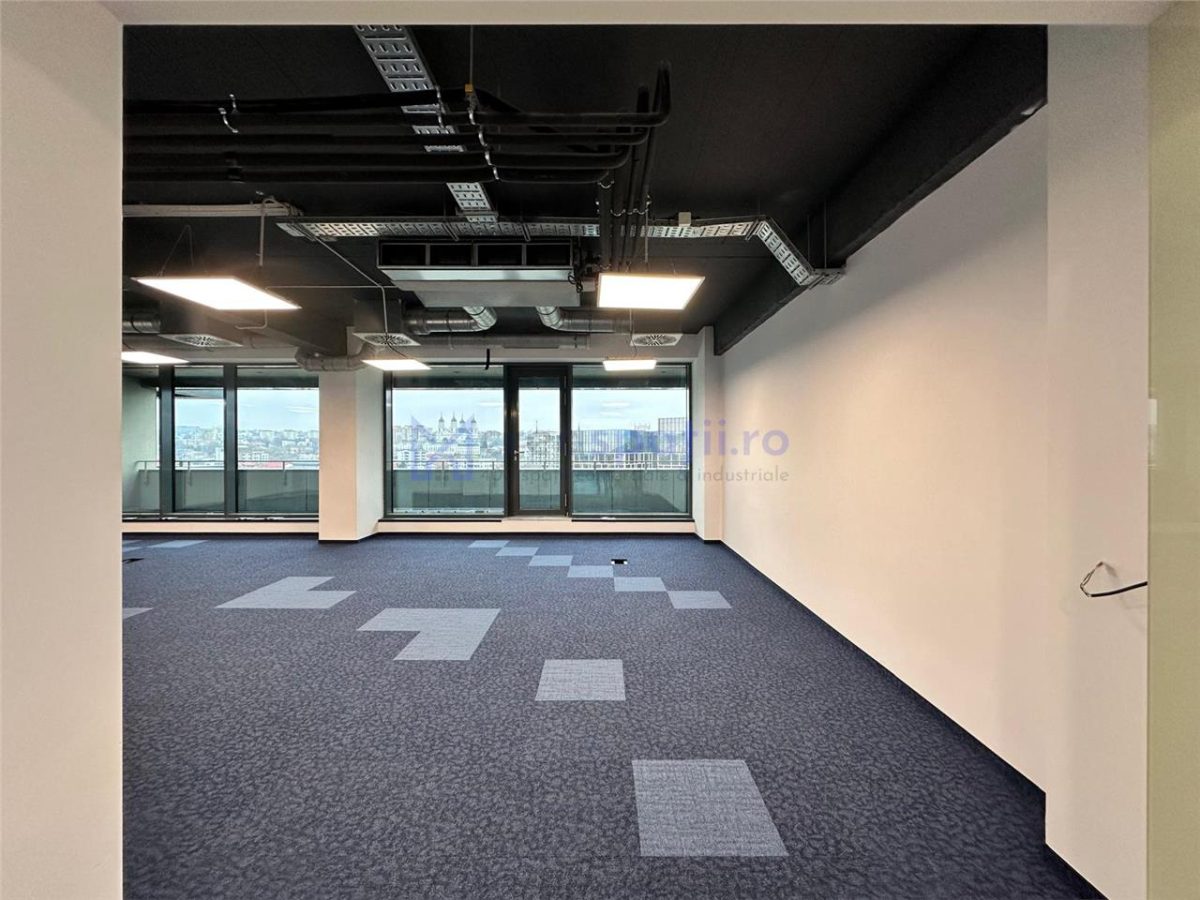 Spatiu birou semicentral Iasi, zona Palas Campus - Podul de Piatra - foto 15