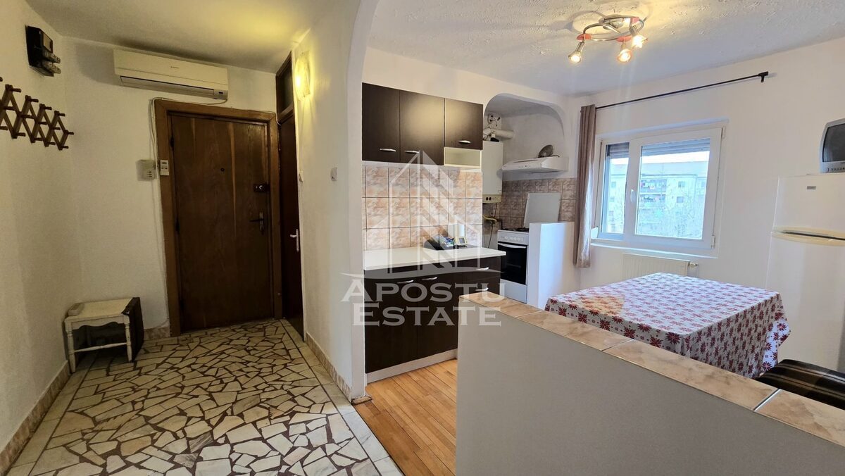 Apartament 2 camere de vanzare, etaj intermediar, Bucovina, Timisoara - foto 22