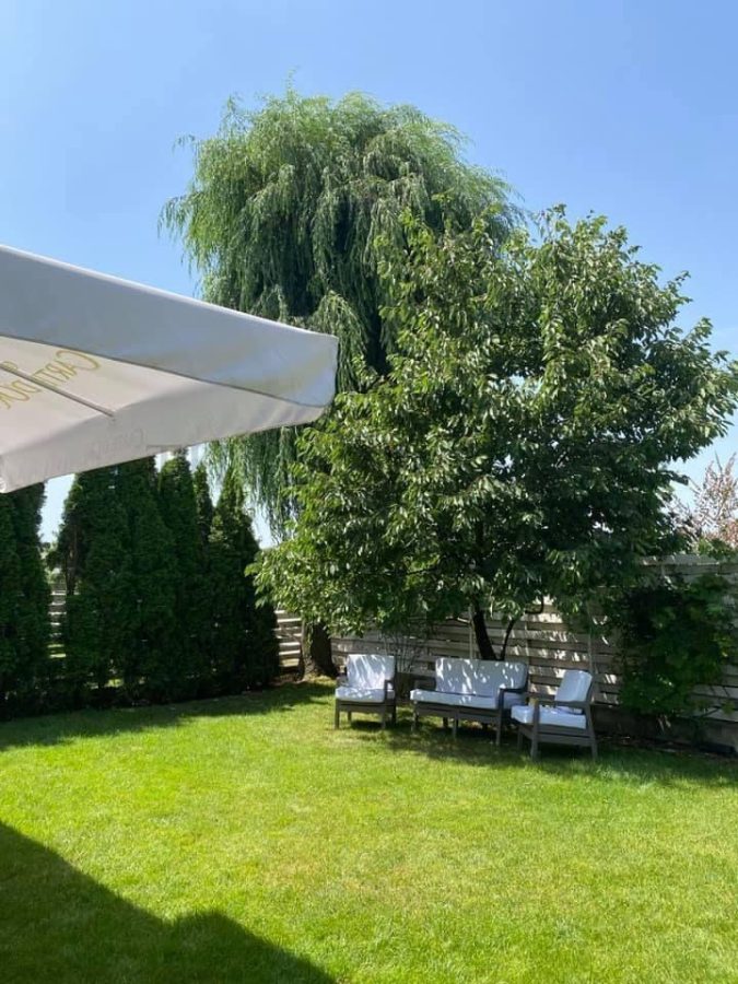 Vila 5 camere cu curte matura in Otopeni - foto 9