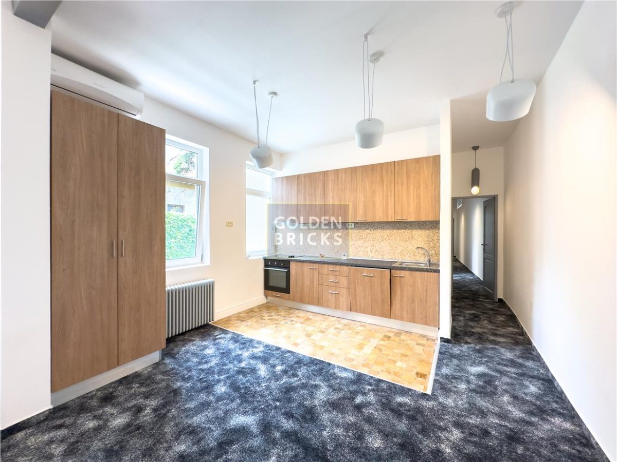 Vilă elegantă | Unirii Udriste | Piața Sf. Ștefan | Curte proprie și parcare - foto 8