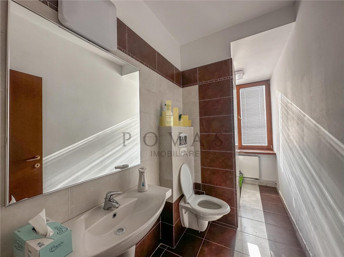 Vanzare Penthouse Spatiu Birou Dorobanti - foto 9