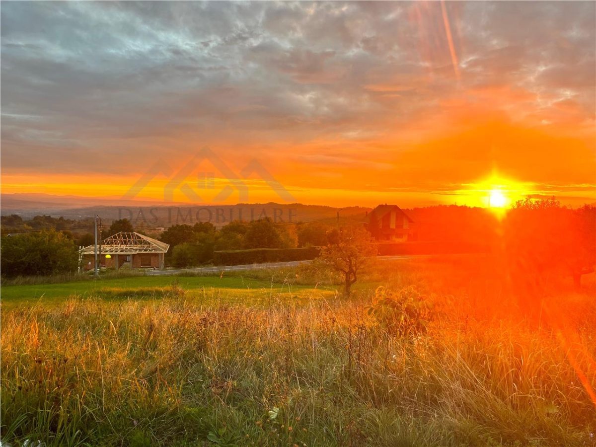 teren intravilan Baia Sprie, la drum asfaltat - Baia Sprie