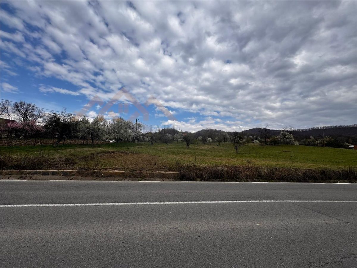 teren intravilan Baia Sprie, la drum asfaltat - foto 2