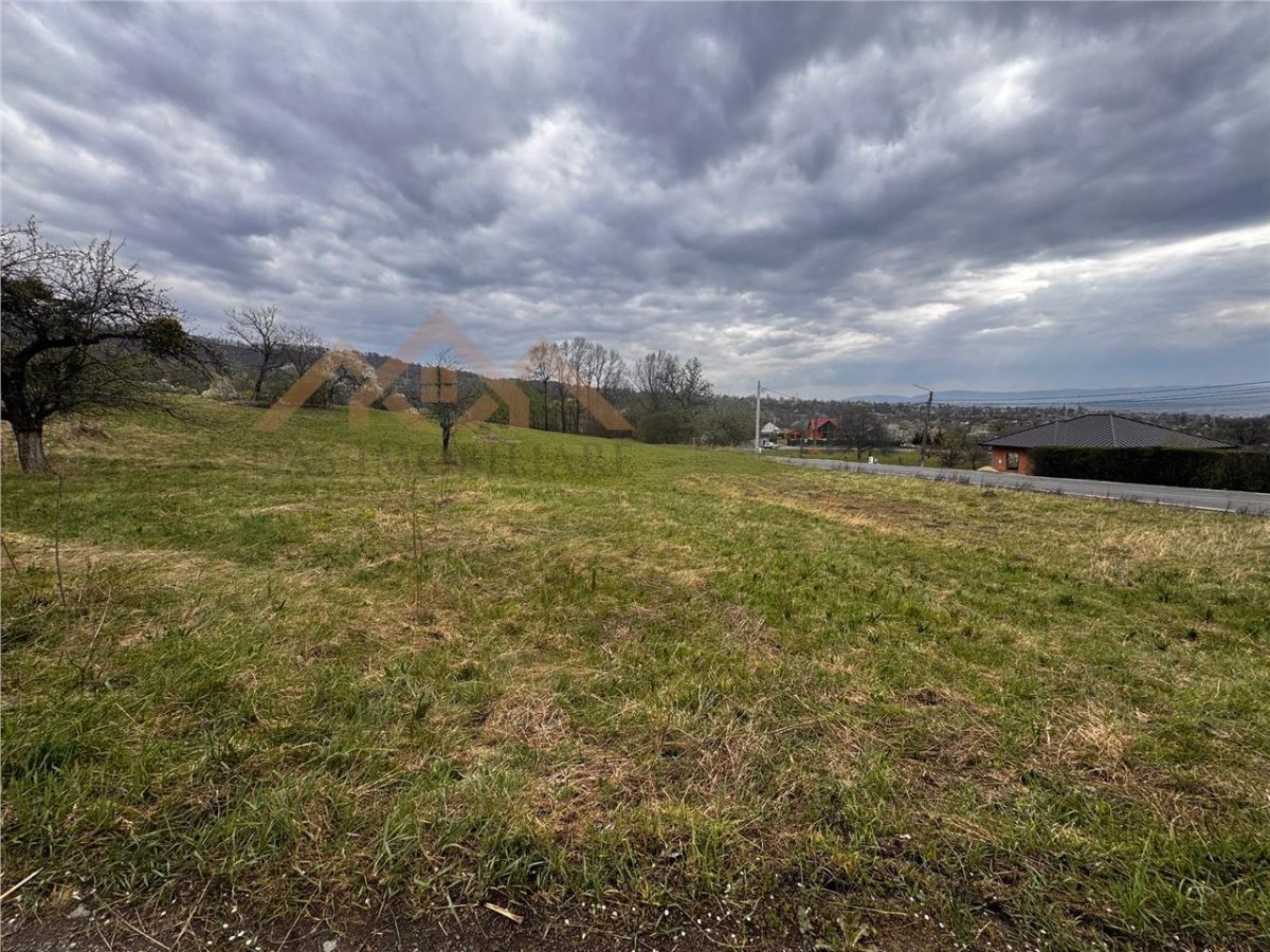 teren intravilan Baia Sprie, la drum asfaltat - foto 4