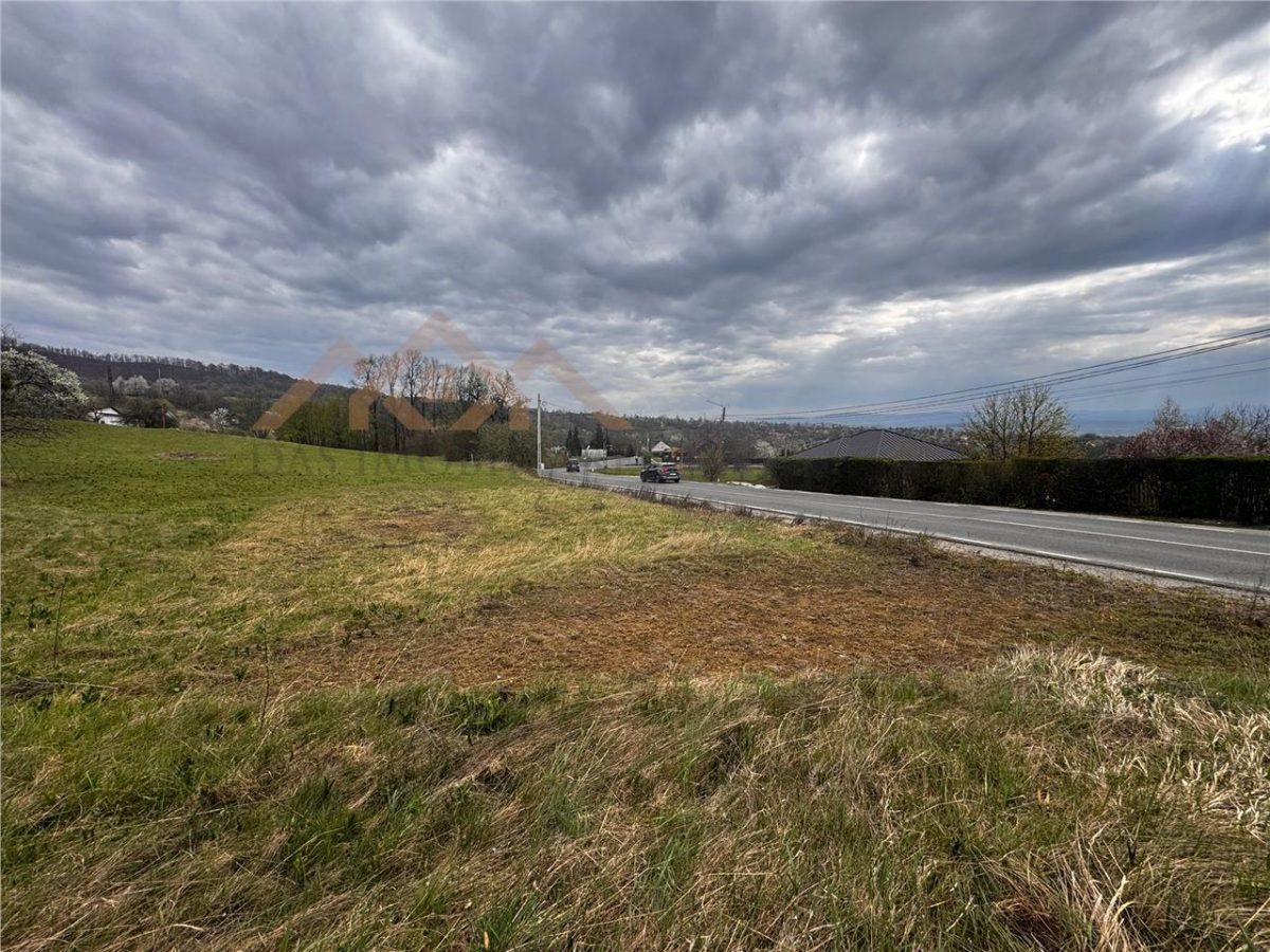 teren intravilan Baia Sprie, la drum asfaltat - foto 5