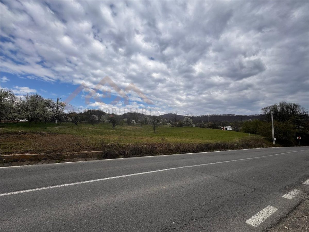 teren intravilan Baia Sprie, la drum asfaltat - foto 6