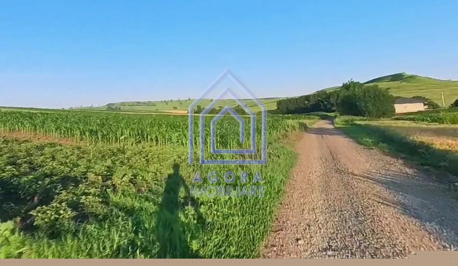 Teren intravilan Moara Carp - zona Ponoare - Moara Carp