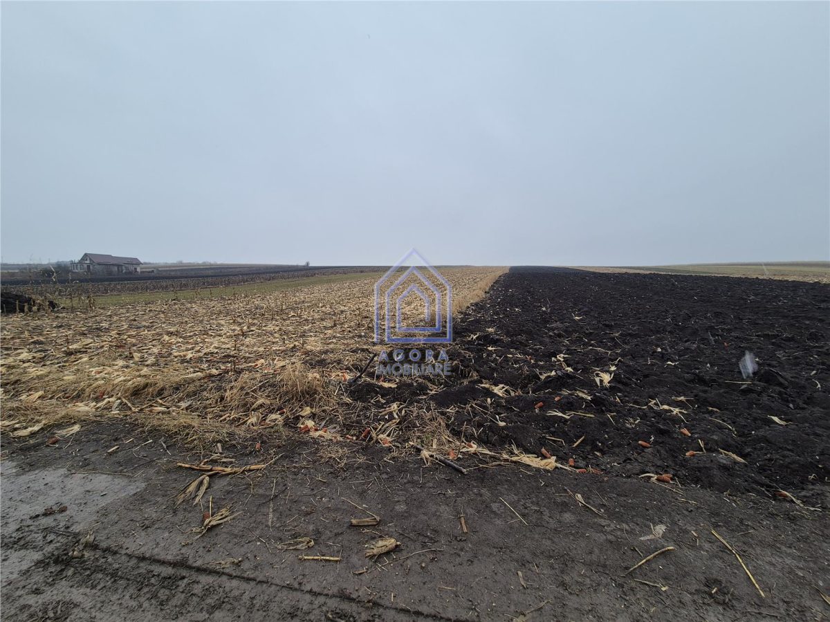 Teren intravilan Moara Carp - zona Ponoare - foto 2