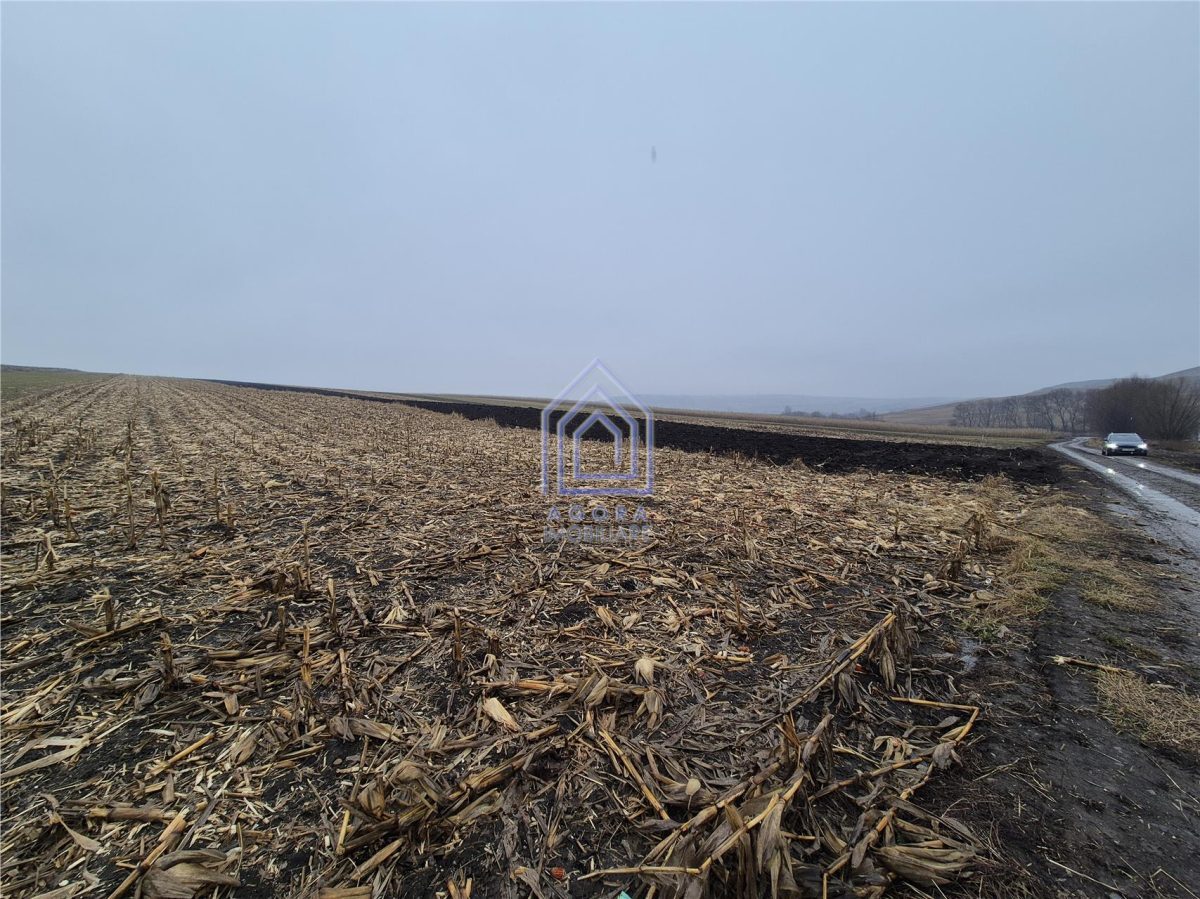 Teren intravilan Moara Carp - zona Ponoare - foto 3