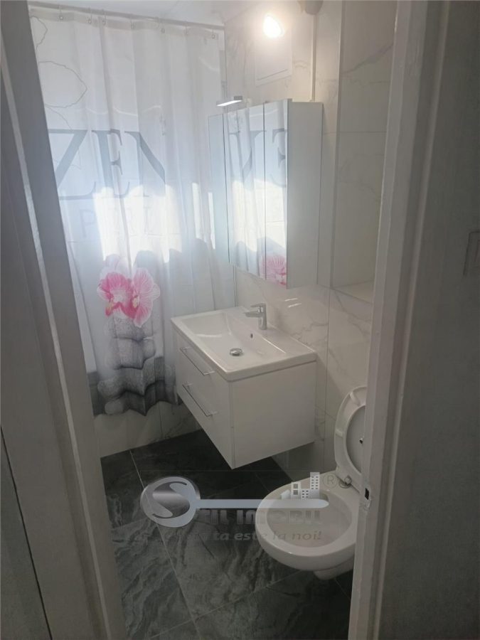 Apartament 2 Camere Cantemir - 400 euro - foto 4
