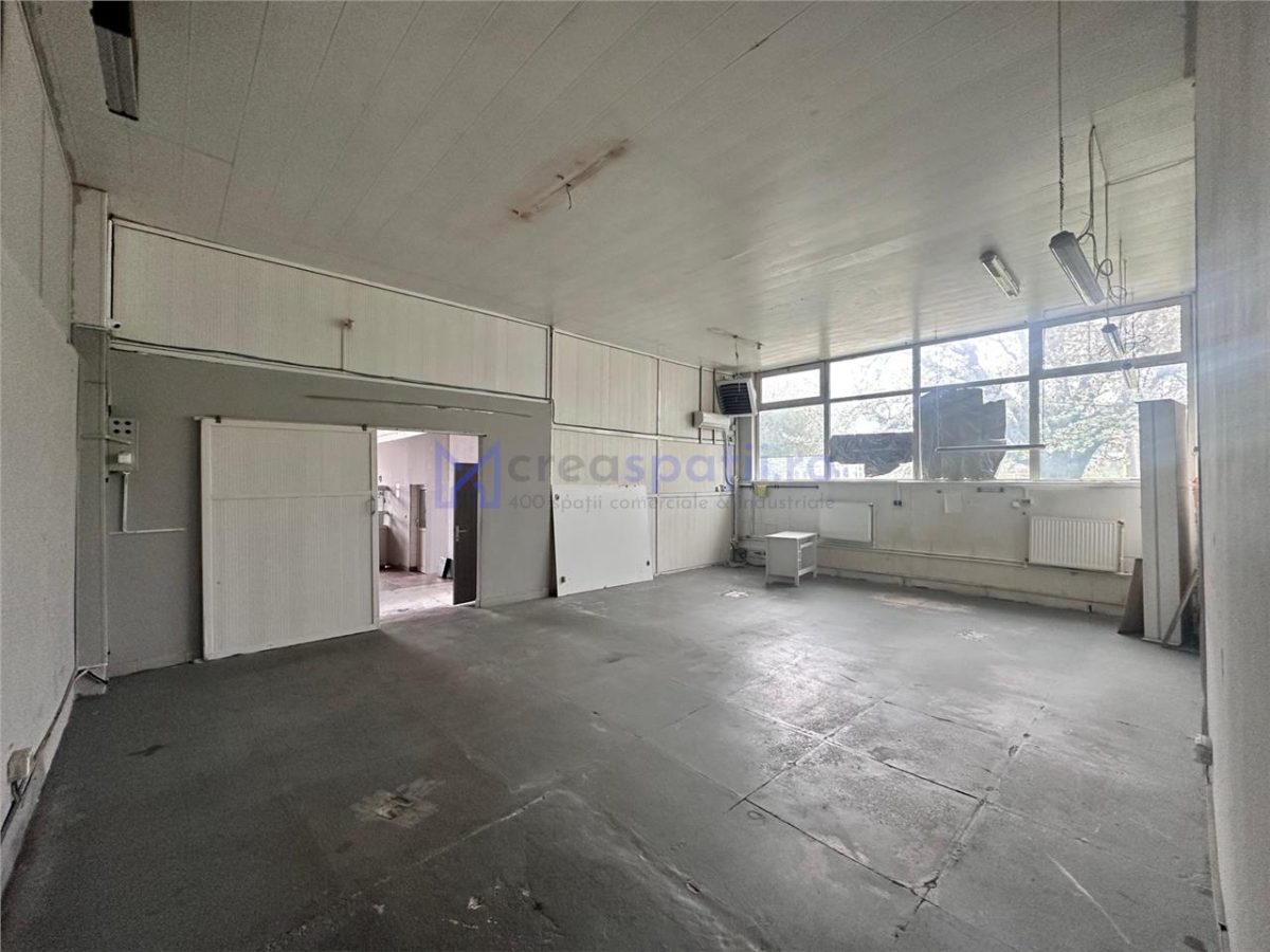 Hala, Iasi, CUG, 211mp, zona vamii - foto 2
