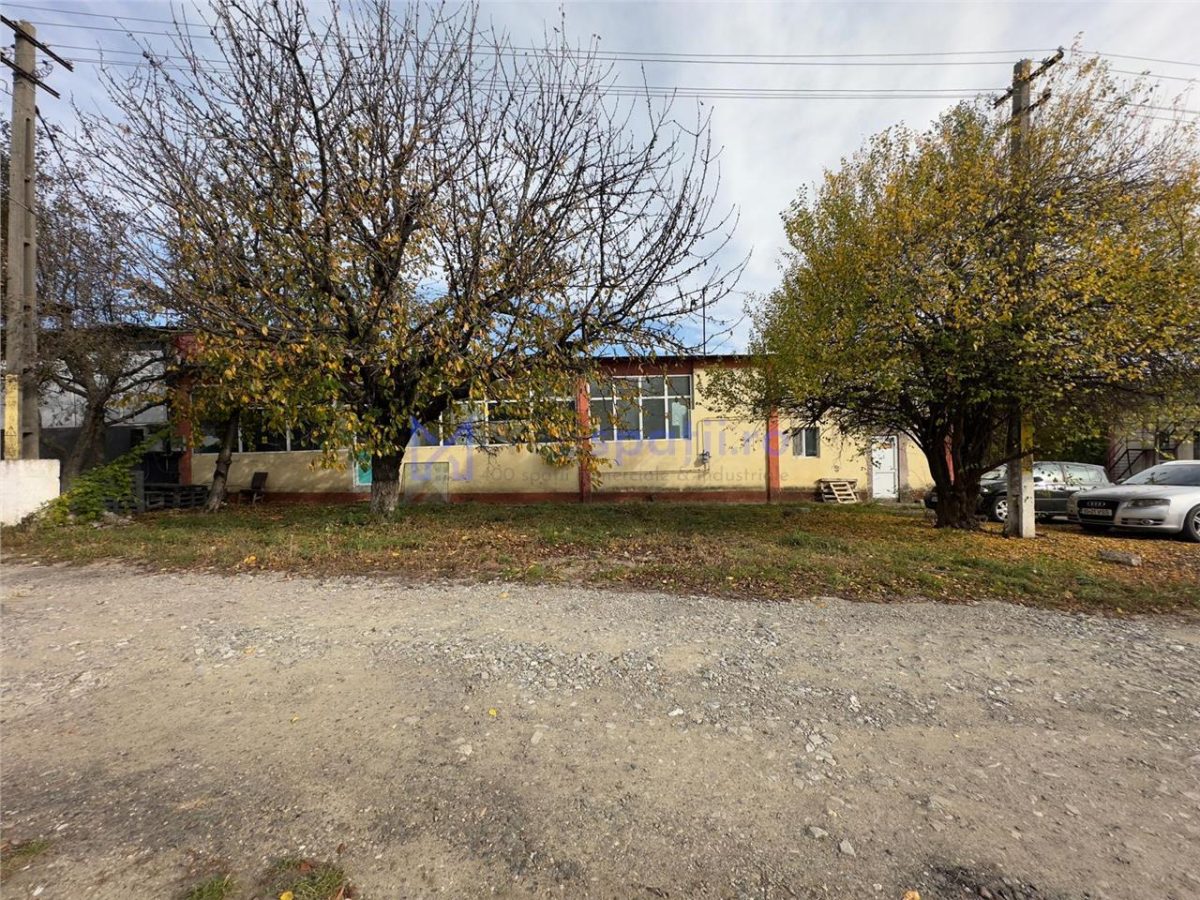 Hala, Iasi, CUG, 211mp, zona vamii - foto 11