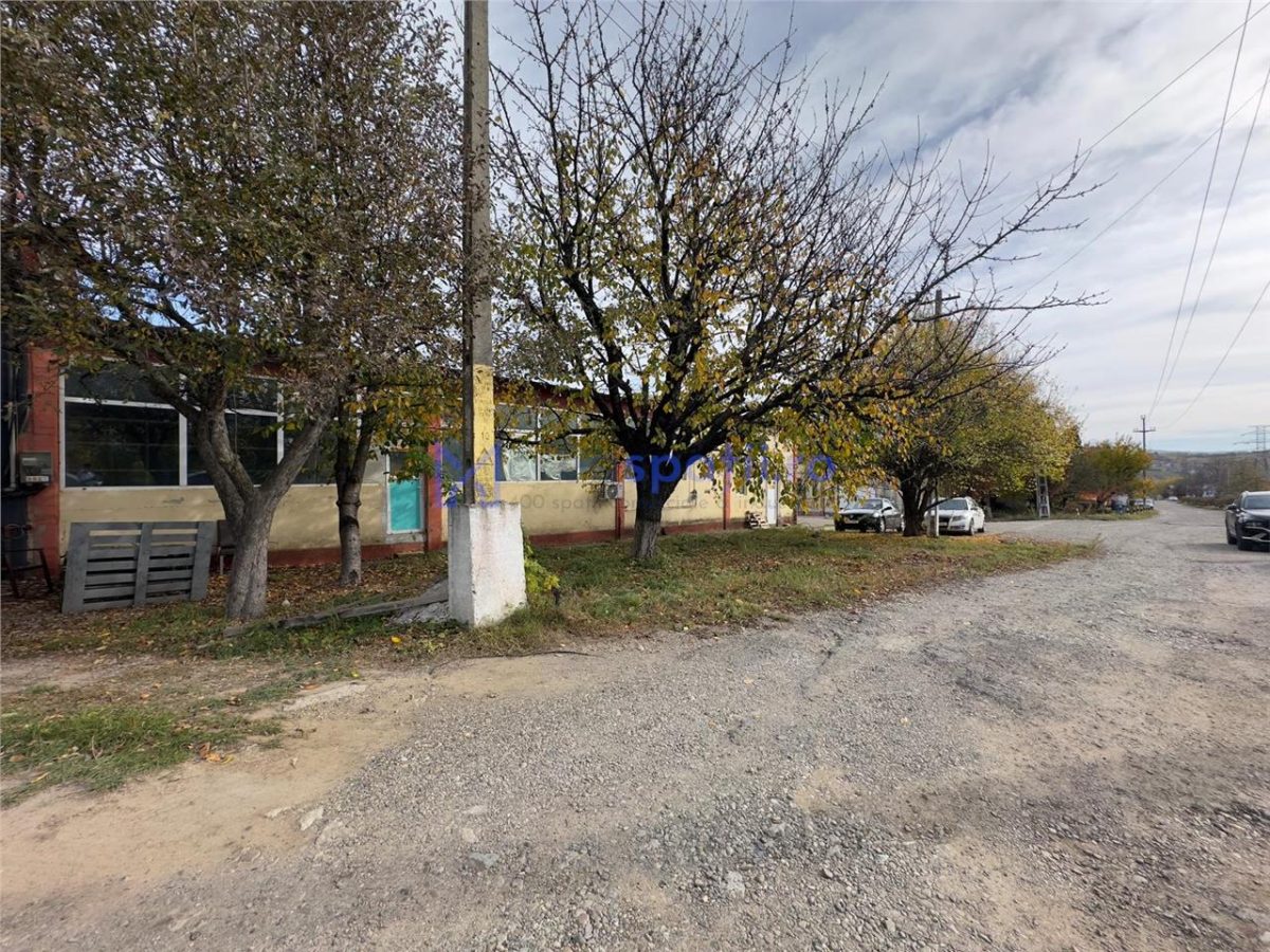 Hala, Iasi, CUG, 211mp, zona vamii - foto 12