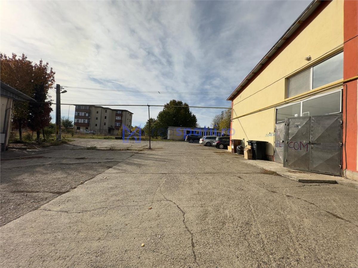 Hala, Iasi, CUG, 211mp, zona vamii - foto 8