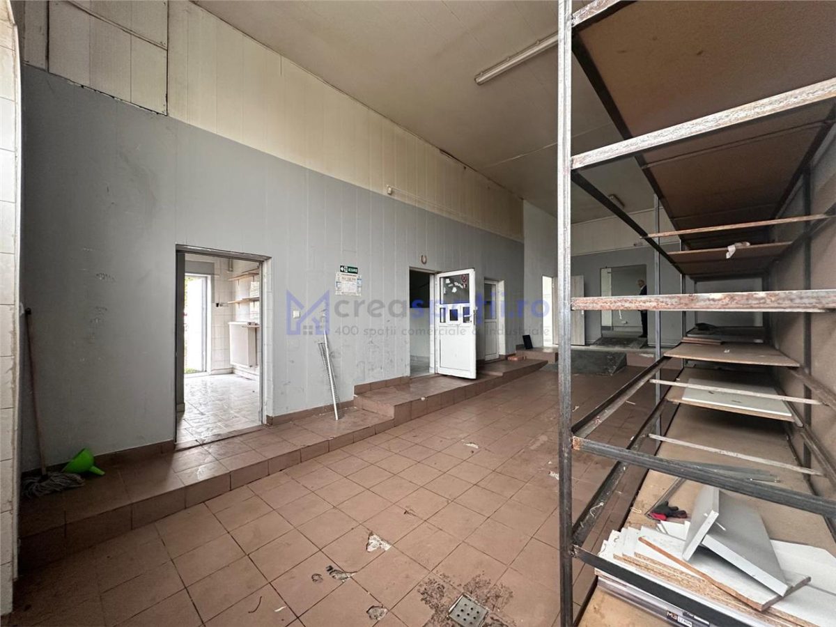 Hala, Iasi, CUG, 211mp, zona vamii - foto 10
