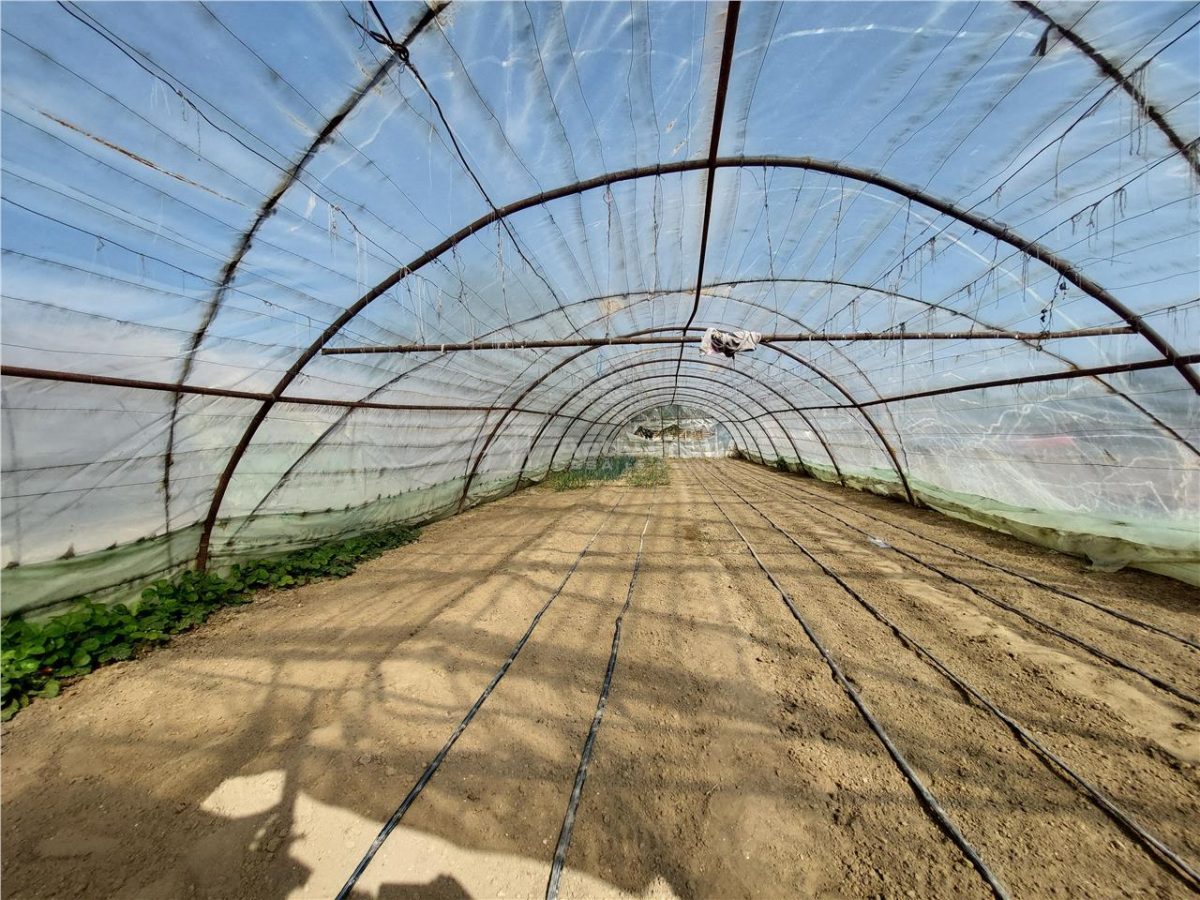 Casa tip PARTER, 130 mp, 4 camere, TEREN 1270 mp, str Orizontului - foto 14