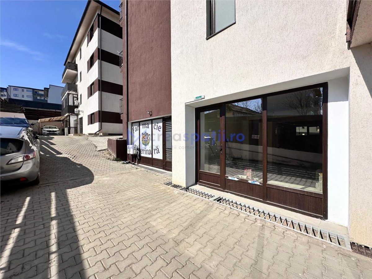 Spatiu comercial Visan - zona Profi, 176mp - foto 12