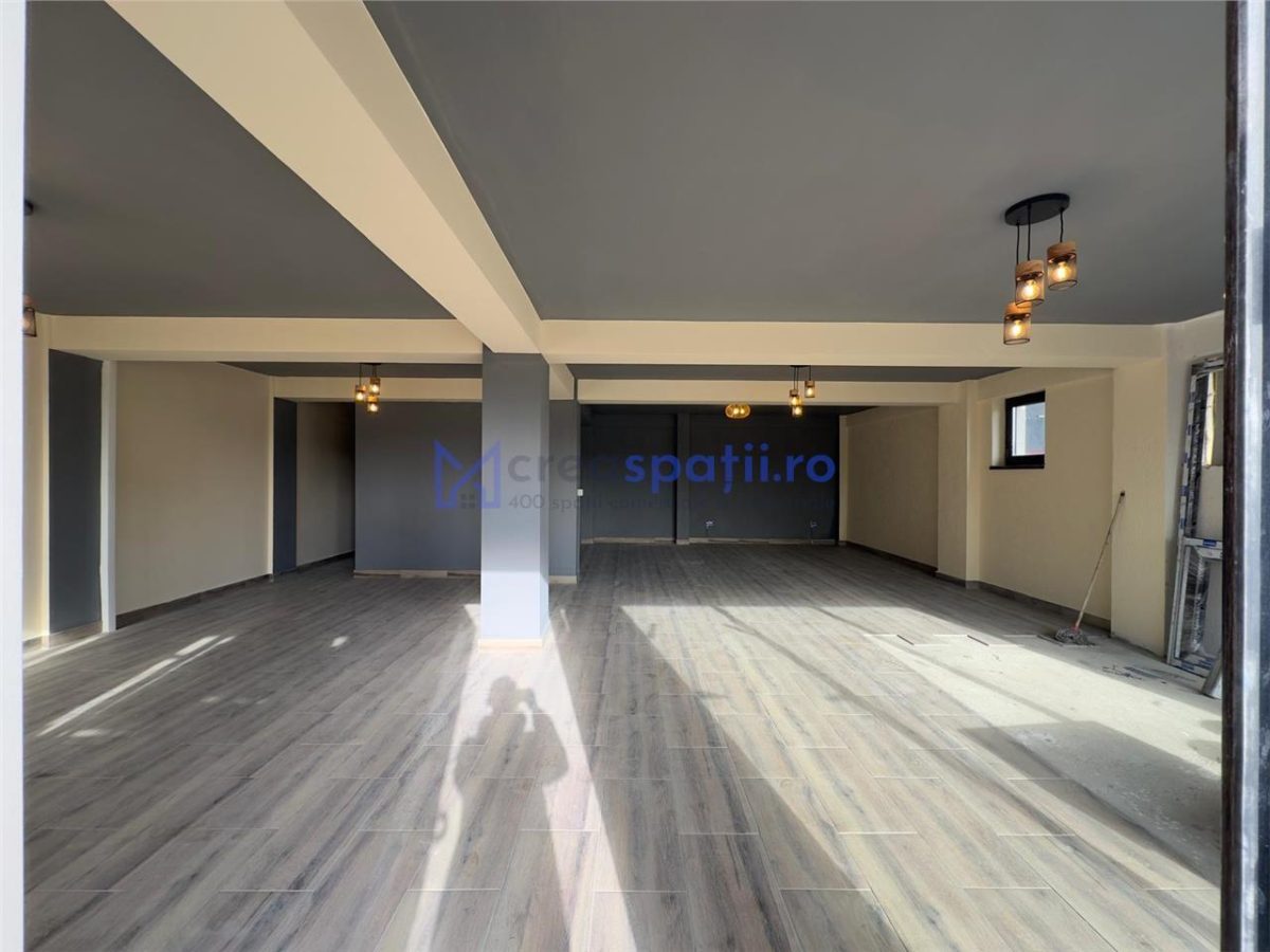 Spatiu comercial Visan - zona Profi, 176mp - foto 19