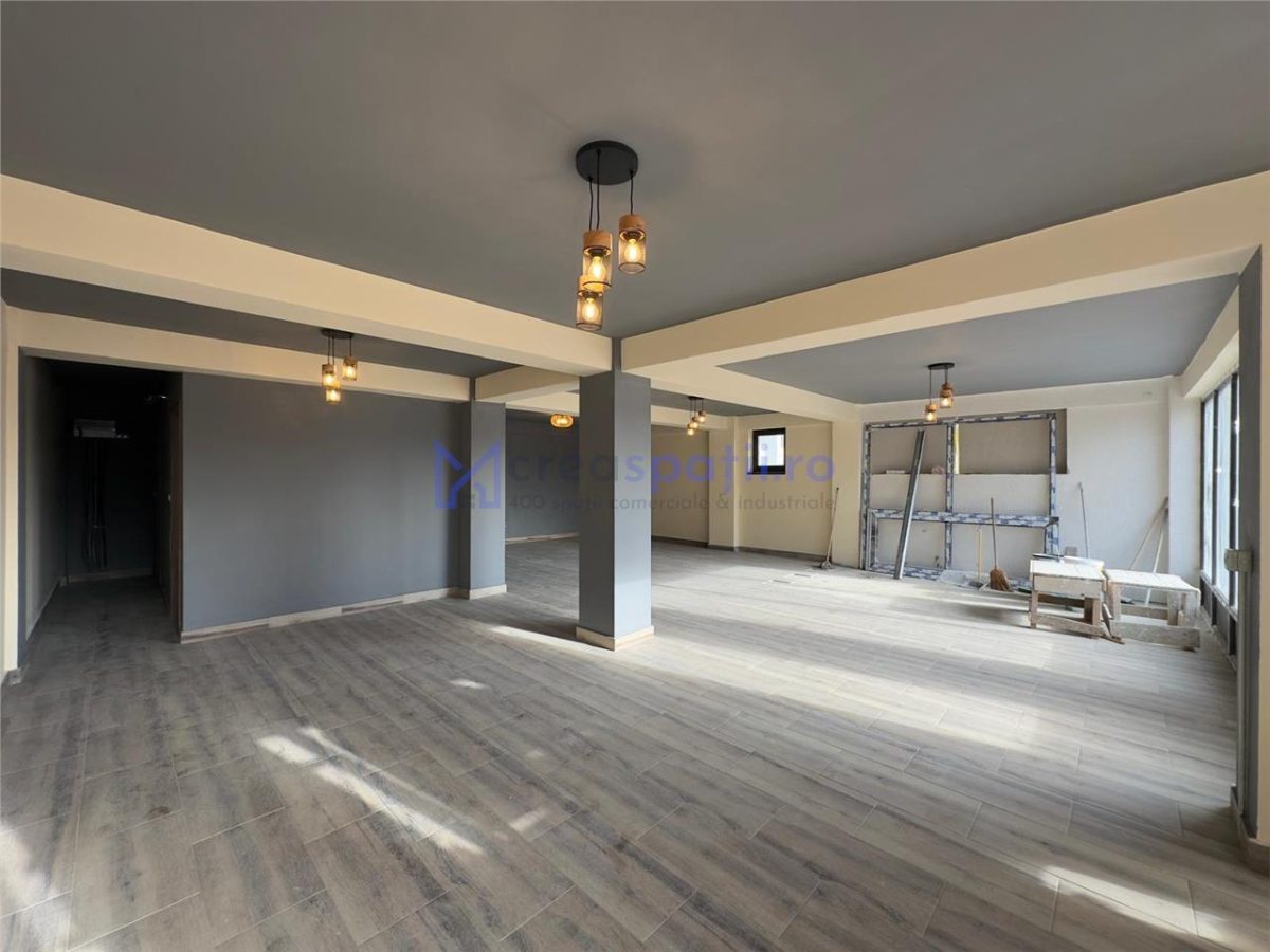 Spatiu comercial Visan - zona Profi, 176mp - foto 20