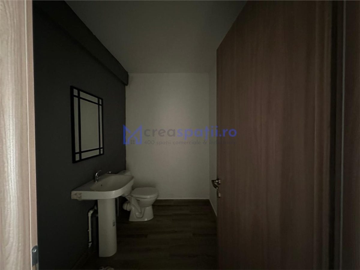 Spatiu comercial Visan - zona Profi, 176mp - foto 24