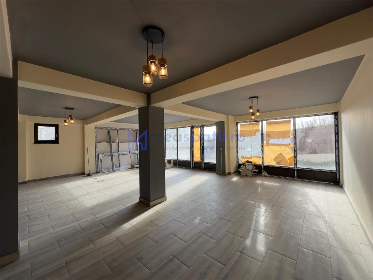 Spatiu comercial Visan - zona Profi, 176mp - foto 6