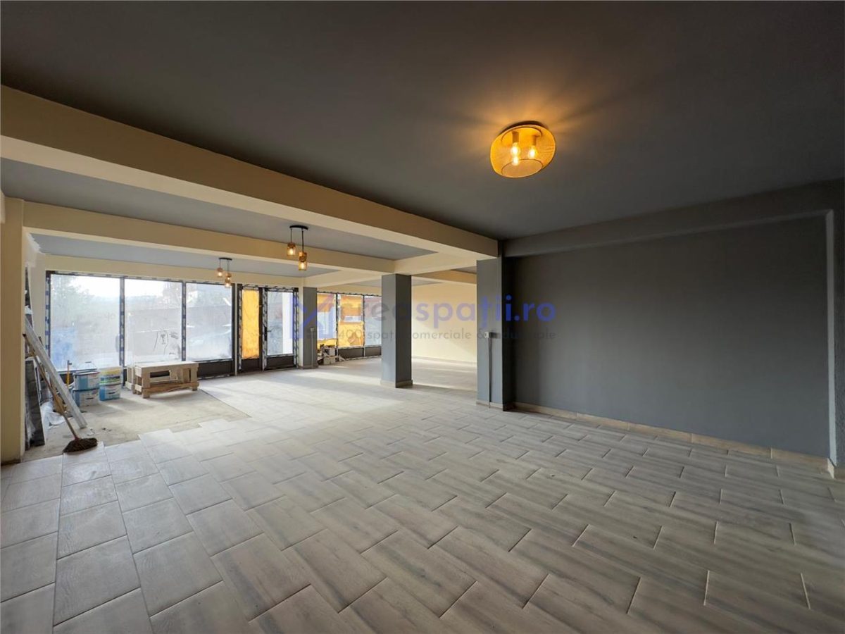 Spatiu comercial Visan - zona Profi, 176mp - foto 8