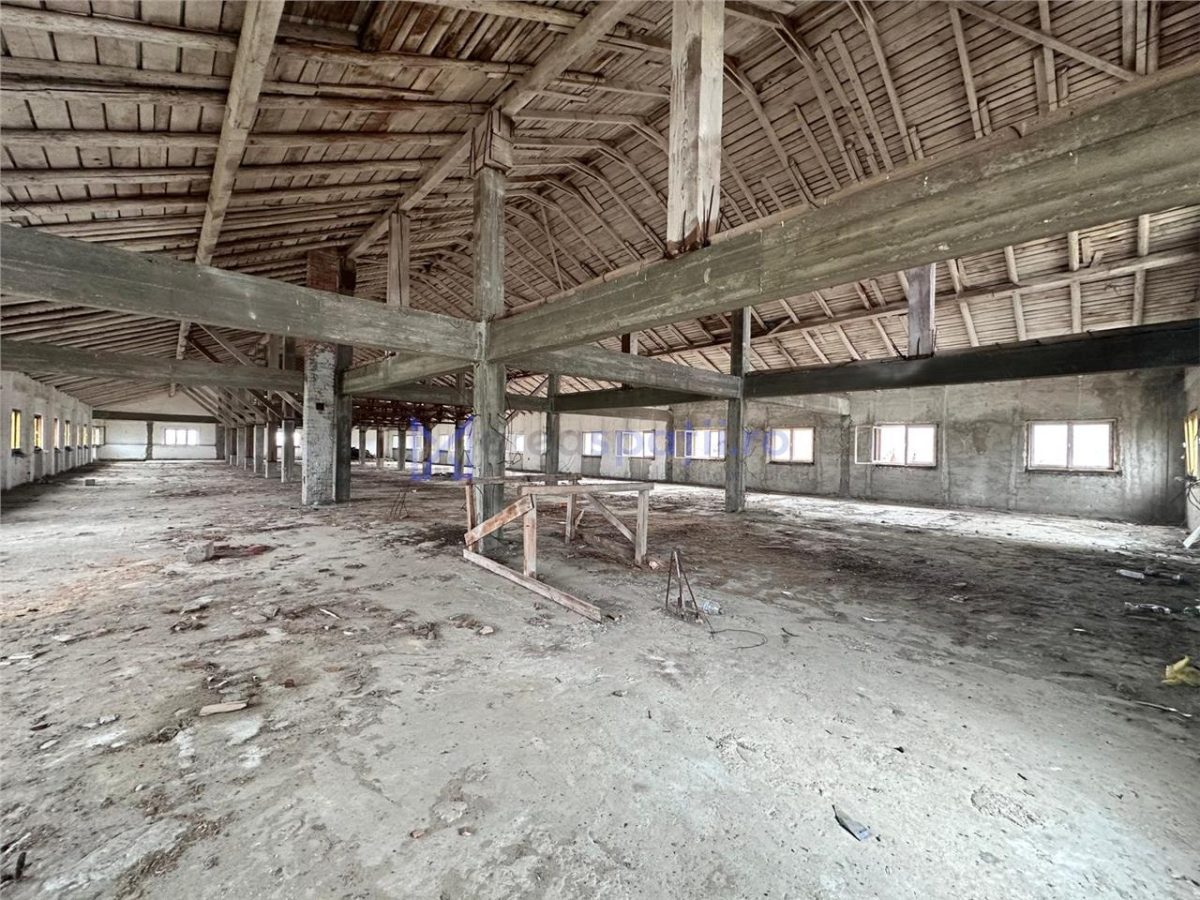 Hala, spatiu comercial, vad, de la 423mp la 1744mp, Vama Albita - foto 7