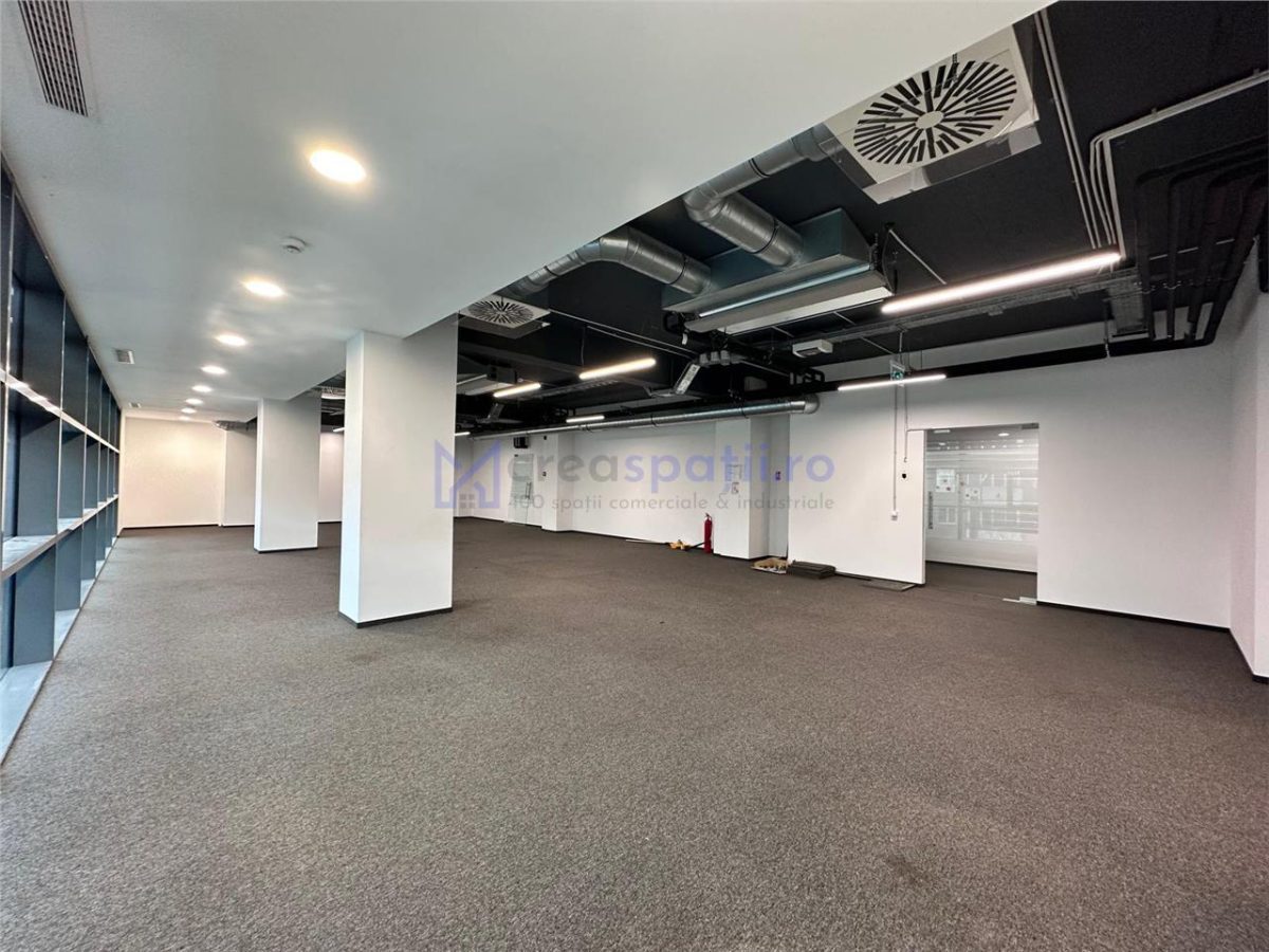 Spatiu birou semicentral Iasi, 200mp, zona Palas - Podul de Piatra - foto 12