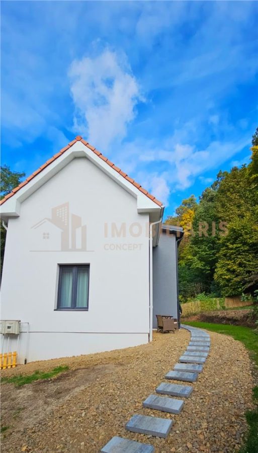 Casa de inchiriat, zona Parcul Regina Maria - foto 13