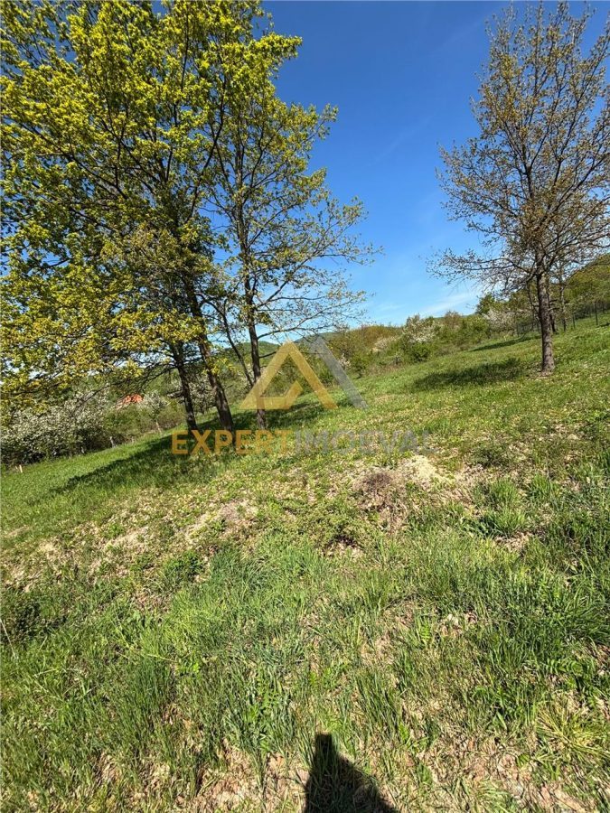 Teren zona deosebita, Tautii Magheraus, 1100 mp pret mic - foto 2