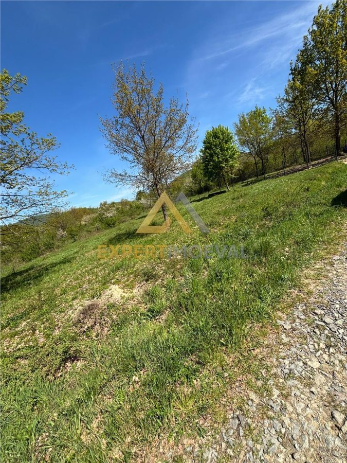 Teren zona deosebita, Tautii Magheraus, 1100 mp pret mic - foto 3