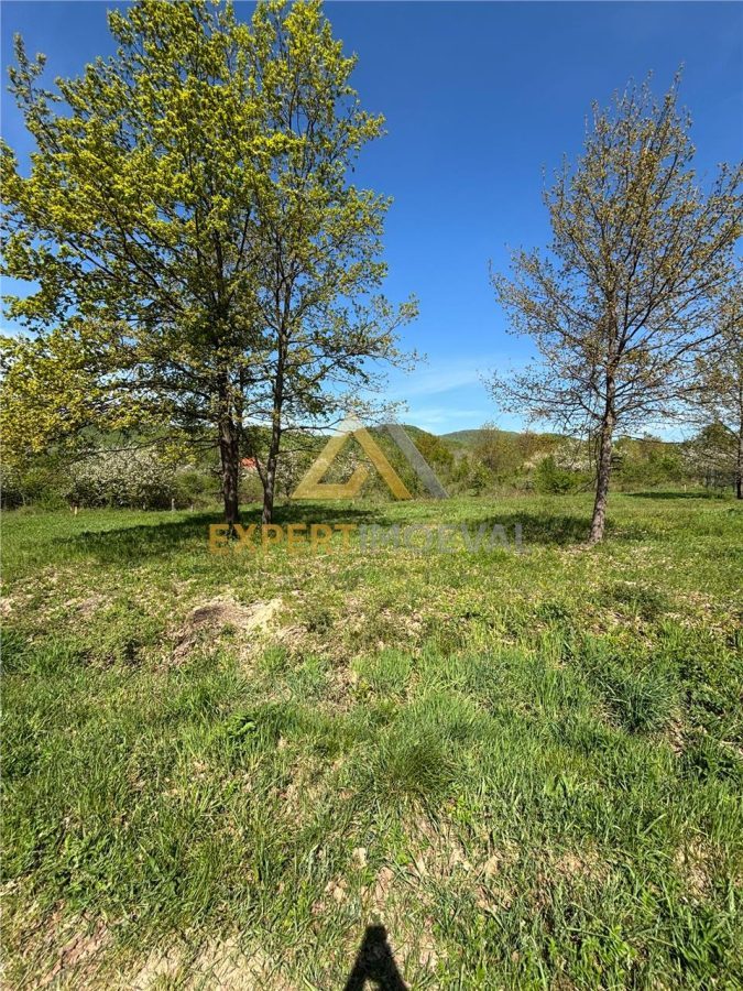 Teren zona deosebita, Tautii Magheraus, 1100 mp pret mic - foto 4