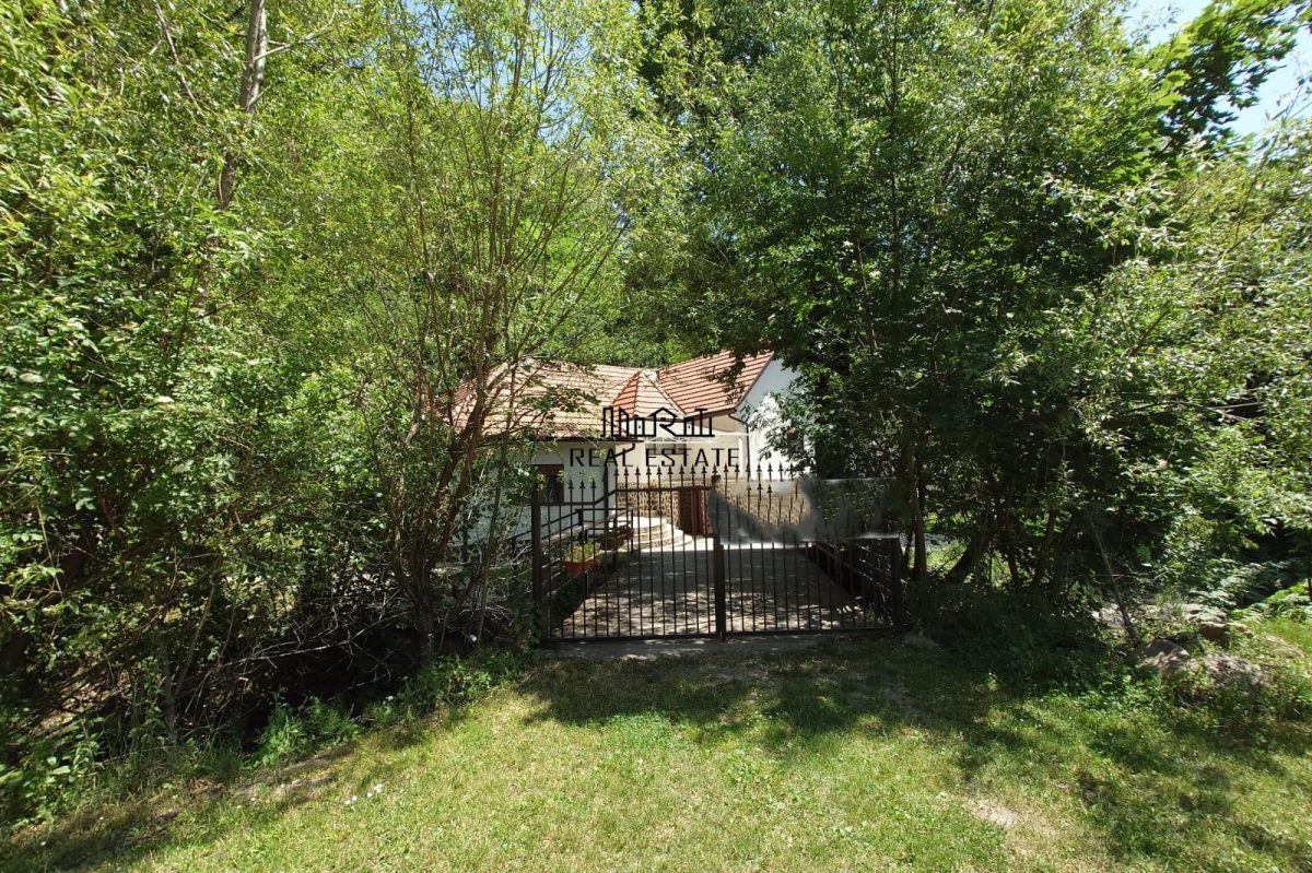 Pensiune Bulzestii de Sus - foto 2