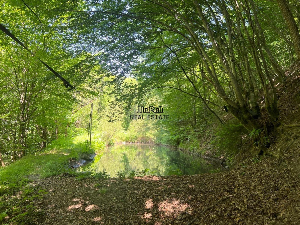 Pensiune Bulzestii de Sus - foto 6