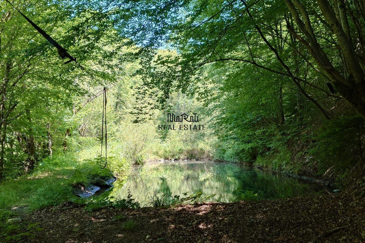 Pensiune Bulzestii de Sus - foto 7