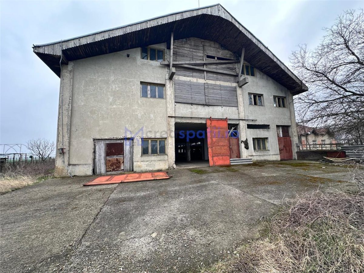 Hala, spatiu comercial, vad, de la 423mp la 1744mp, Vama Albita - foto 22