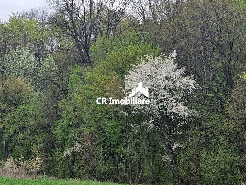 IZVORANI Teren unic prin locatie si priveliste, cu hotar la padurea, intr-o zona in plina expansiune - Izvorani