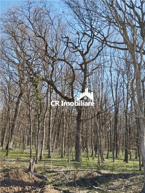 IZVORANI Teren unic prin locatie si priveliste, cu hotar la padurea, intr-o zona in plina expansiune - foto 2