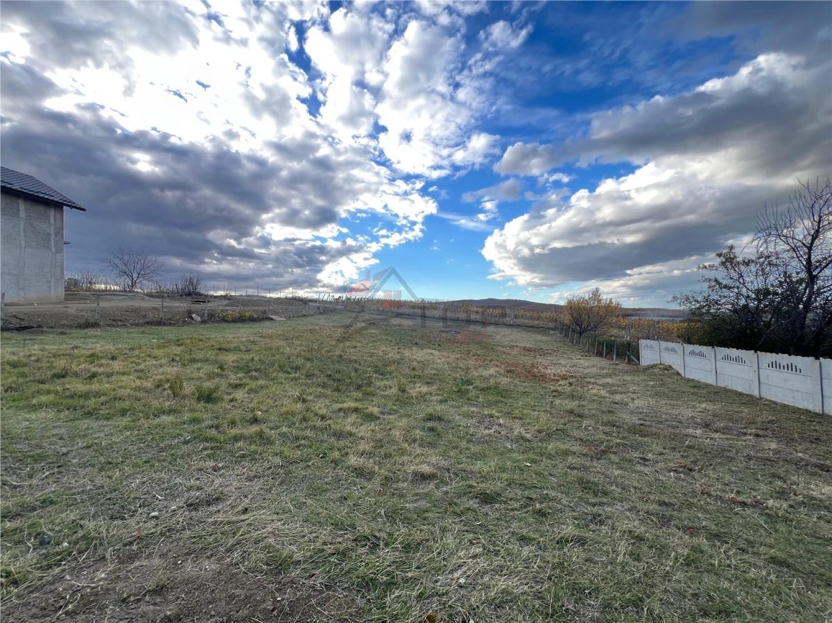 Teren Constructii - Voinesti - foto 4