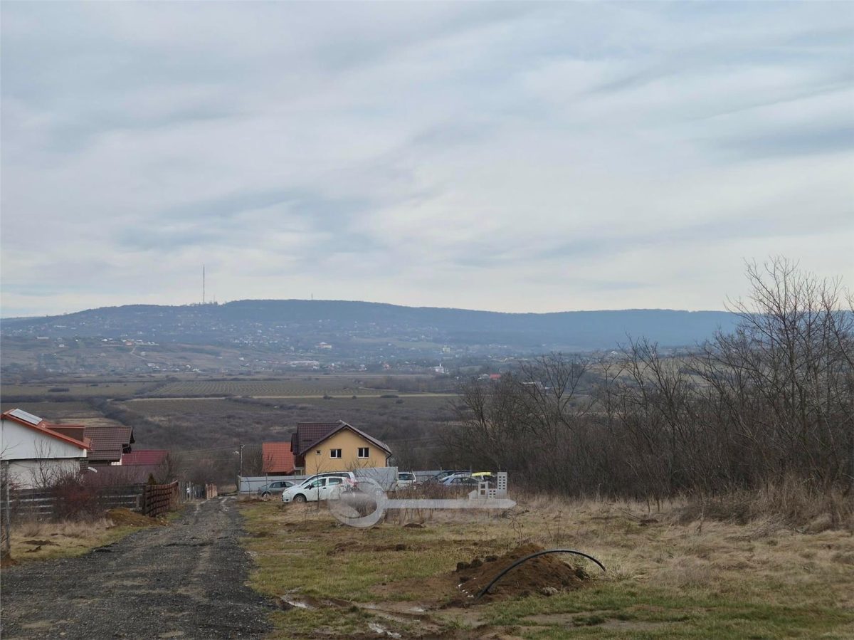 TEREN INTRAVILAN CIUREA 493 MP - Ciurea