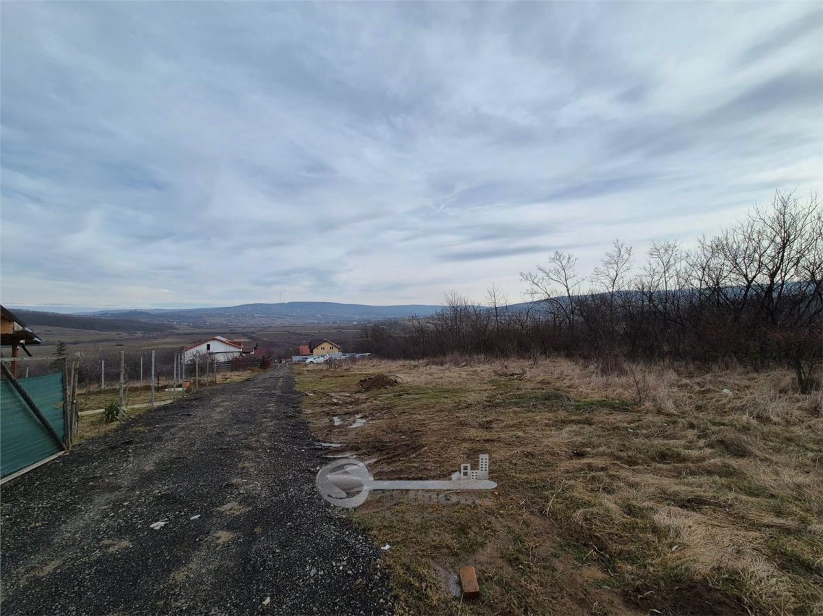 TEREN INTRAVILAN CIUREA 493 MP - foto 2